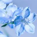 mick_thx