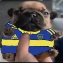 elperrito7145 avatar