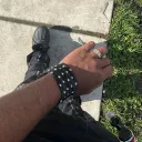 .llvex