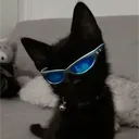 lsijt