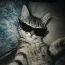 fred_29