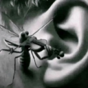 avatar จอมมารบู ศัตรูพืช