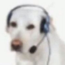 avatar Soporte Movistar