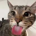 avatar oscar