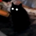 avatar _Wolfi