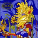 limbatus avatar