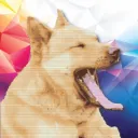 yawningdog