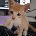 avatar 𖤐 totii 𖤐