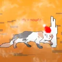 catcosyt