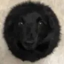 madeofcheddar