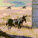 avatar Конь