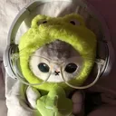 whock