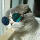 kawaibozz avatar