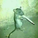 warencigarro.
