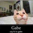 somedankdude