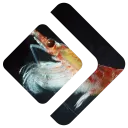 aibao