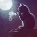 tthugsaidimysl
