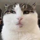 ruisoubi