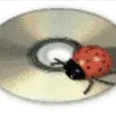 rat_soups