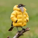 thedeinekoartem