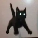 shaekitty