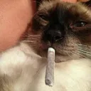 simplydanger.