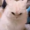 snowlz_