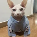 Аватар lamonik