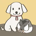 kaopoonwhitedog