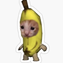 Avatar de gatito platanado