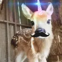 unicorndeer