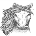 User icon