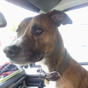 calou1710 member profile picture