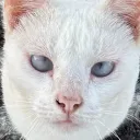 emnyzx