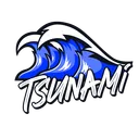 tsunamisports3119