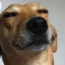 cadencheh