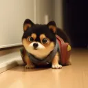 baaadkk