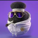noel3071