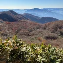 shiichaのアバター