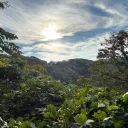 shiichaのアバター