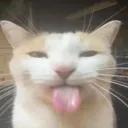 lyfty__