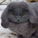 bigskibidiiii avatar