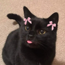 avatar KIYUMI きゆみ