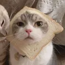 starcodeandy