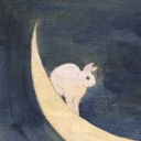 avatar Volana⋆˚࿔