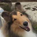 muudybwoos