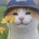 ralzykotra