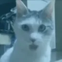 modofwteamgordog1319852372