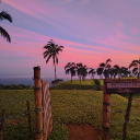 avatar 𝚂𝙸𝙽𝙺𝙸 🇺🇸