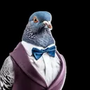 wizardpigeon152